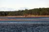 Findhorn July 2021 0066